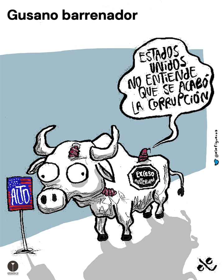 Gusano barrenador