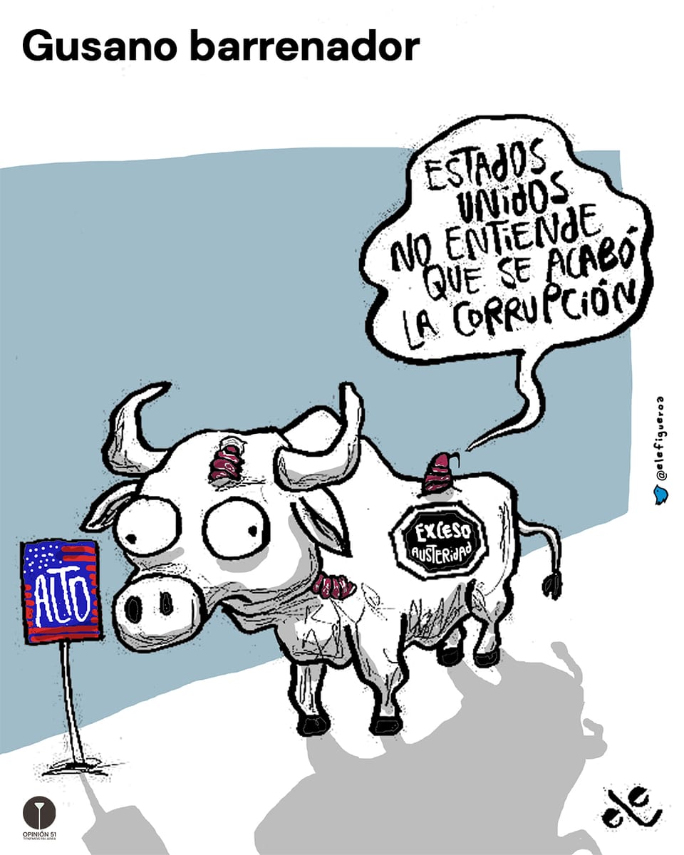 Gusano barrenador