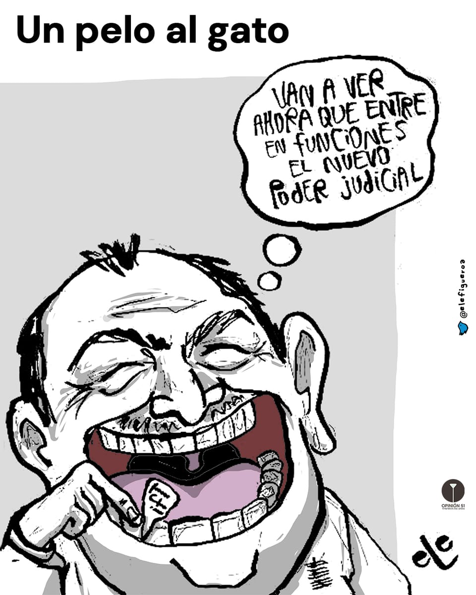 Un pelo al gato